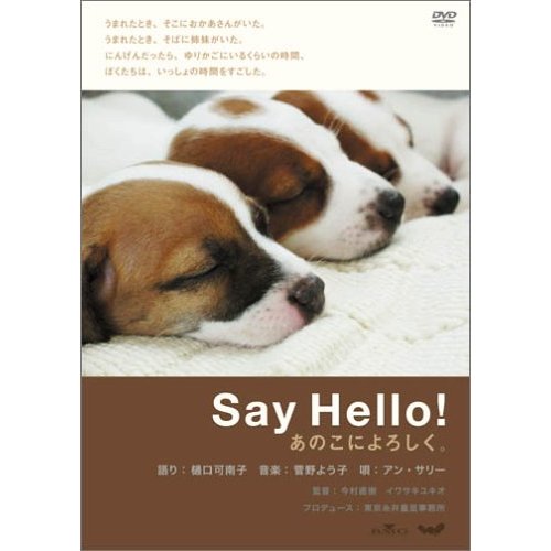 Say Hello!