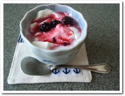 yogurt070903.jpg
