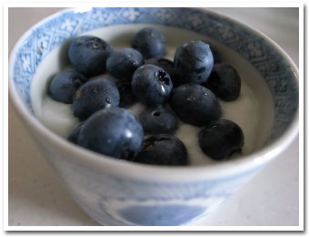 yogurt090801.jpg