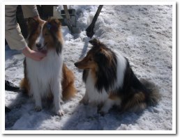 ���祳������